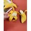 3 Pièces Jouets Éducatifs Antistress en Forme de Banane - Jaune 