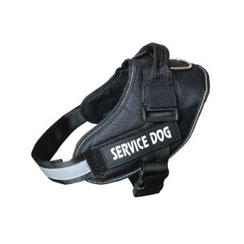 

Letter Print Adjustable Durable Dog Harness Pet Supplies, Black