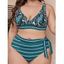 Plus Size Tropical Print Bikini Swimsuit Padded Bikini Two Piece Swimwear Stripe High Waist Bathing Suit - DEEP GREEN 3XL