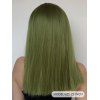 Perruque Synthétique Cosplay Capless Longue Droite à Pleine Frange - Vert profond 22INCH