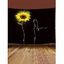Tapisserie Art Décoration Murale Pendante à Imprimé Chat et Tournesol - Noir 100 CM X 75 CM