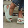 Plain Color Open Toe Slip On Thick Platform Outdoor Sandals - Vert EU 41