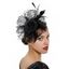Accessoire Chapeau Fascinateur pour Cheveux en Maille Motif Fleur et Perles Fantaisies Style Vintage - Noir 