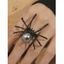 Bague Tendance Motif Araignée pour Halloween - Noir 