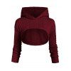 Ensemble de Pull à Capuche en Tricot à Câble et de Mini Robe - Rouge foncé XXL