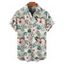 Chemise de Vacances Fleur Feuille Tropicale Imprimée Boutonnée à Manches Courtes - Vert clair 4XL