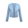 Solid Color Open Front Textured Crop Top Long Sleeve Plain Color Casual Top - LIGHT BLUE XL | US 12