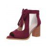 Solid Color Open Toe Bowknot Decor Chunky Heels Zipper See Thru Trendy Sandals - Rouge foncé EU 43