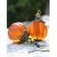 Boucles d'oreilles Halloween Citrouille Faux Gem Boucles d'oreilles Vintage - Orange Foncé 