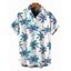 Chemise de vacances pour homme, imprimé feuilles de cocotier, boutonnée - Blanc 5XL