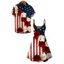 Patriotic Couple Outfit American Flag Bicolor Rose Print Dress and Shirt Set - Rouge Vineux S | US 4