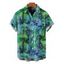 Men's Vacation Shirt Watercolor Floral Print Button Up Shirt - Vert XL