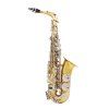 LADE WSS - 865 Saxophone Alto Main Graving Craft Sax Mute Brass Instrument - Argent et Or 