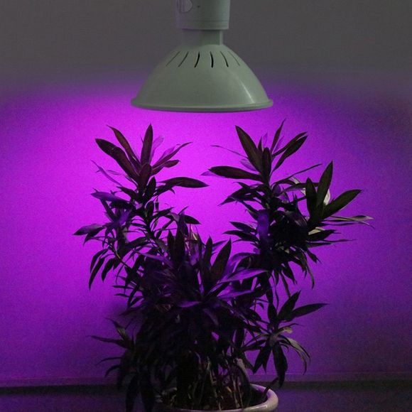 AC85V - Lampe de croissance végétale pour légume remplie de légumes de semis de jardinage avec 265V 24W - Blanc 