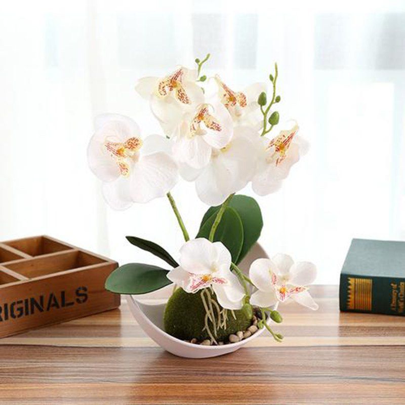 

Trigeminal Phalaenopsis Creative Ornaments Simulation Plant Artificial Flowers, Multi-a