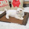 Tapis Cool Nid d'Animal Chat Chien Canapé - Brun Ours 