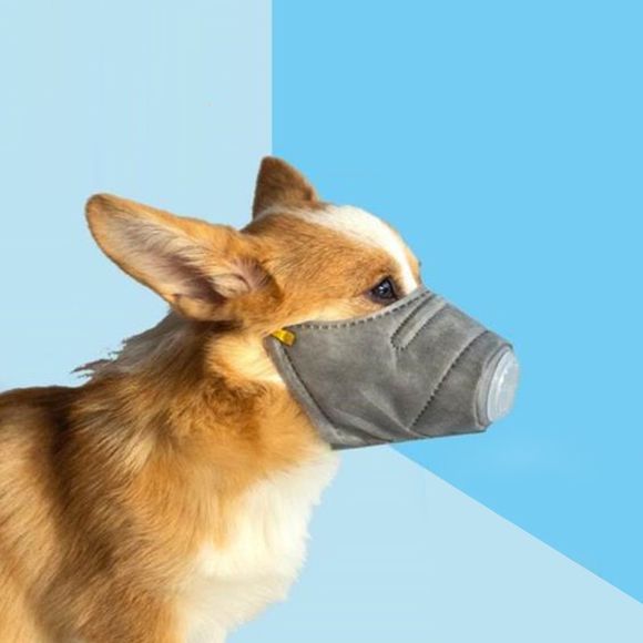 Masque Anti-poussière pour Chien de Compagnie 3pcs - Gris Clair 