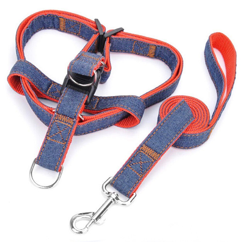 chain pet leash