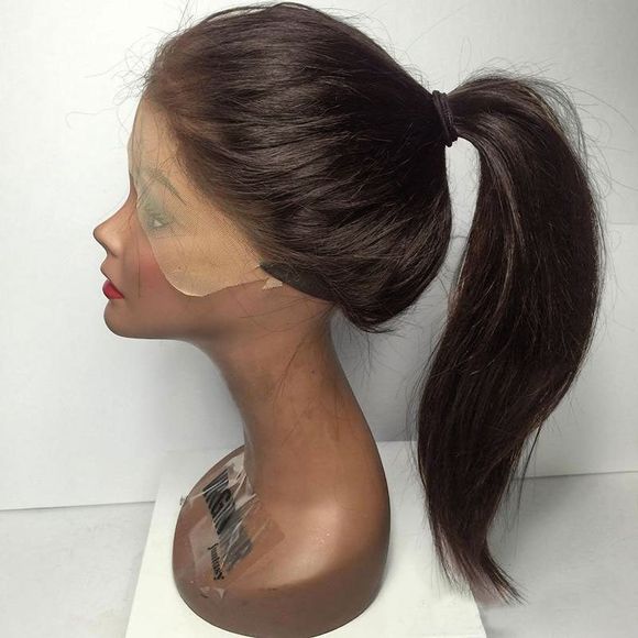 Women Long Ponytails Straight Lace Frontal Synthetic Wig - BROWN 