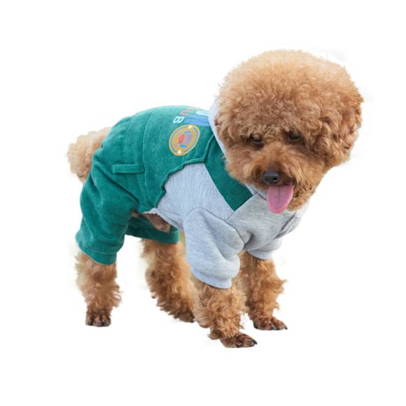 Costumes Vêtements Hoodie Manteaux pour petits chiens Moyens Gros Chiens - Vert XS