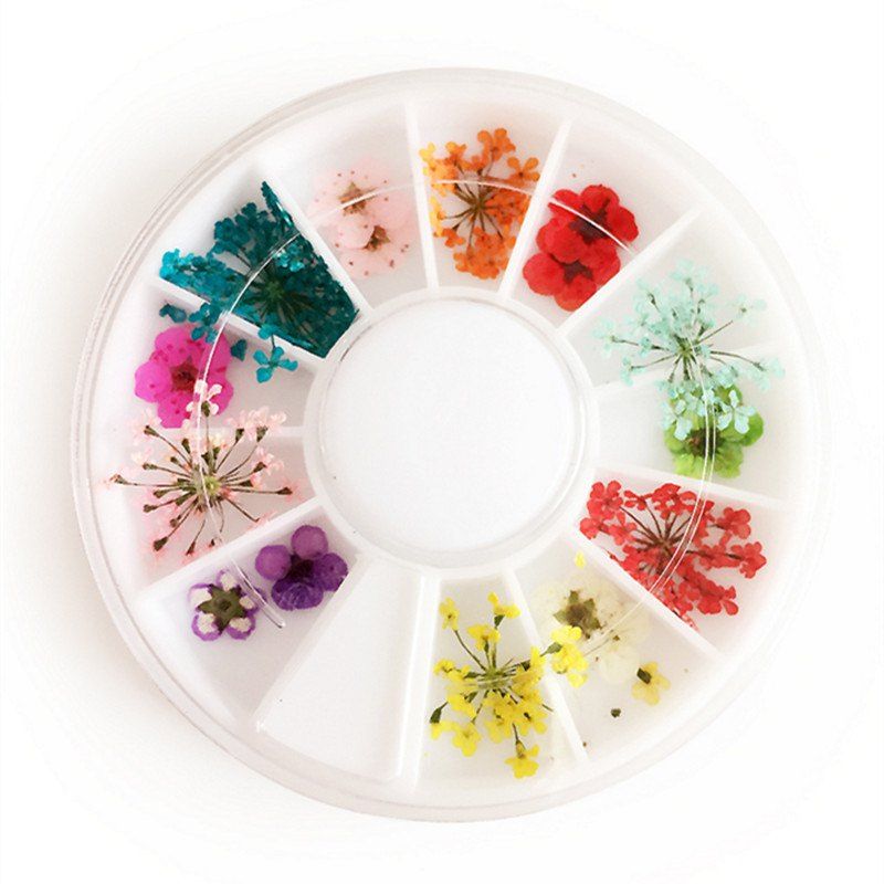 

1 Box Mixed Style Natural Dried Flower Nail Art Decoration, Colormix
