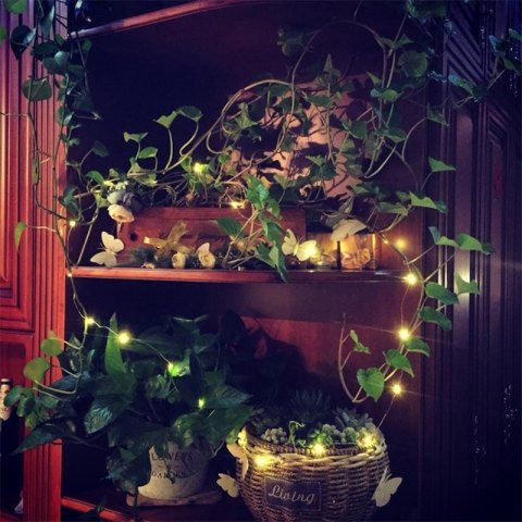 Limited Offer 2019 4m 40 Led Lights Battery Ed Copper Wire 4m 40 Led Lights Battery Ed Copper Wire String Home Decoration Warm White