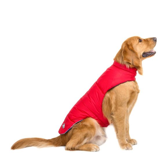 Veste d'hiver rembourrée de sport Premium Reversible pour chiens - Rouge 3XL