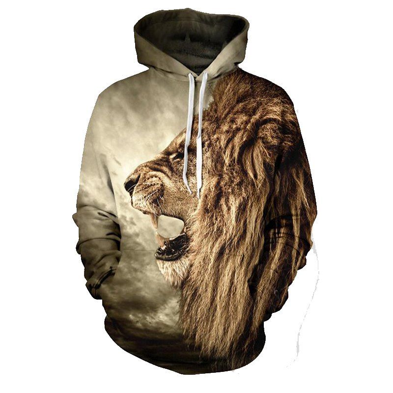 

2017 Autumn New 3D Digital Printing Hoodie, Colorful