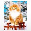 Naiyue 9735 Cats Print Draw Dessin au diamant - multicolore 