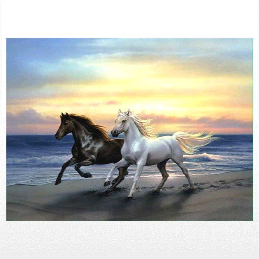 

Naiyue J518 Two Horses Print Draw Diamond Drawing, Colormix