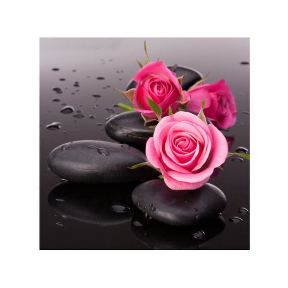 Naiyue 9590 Roses Imprimer Tirage Dessin au Diamant - NOIR/ROUGE 