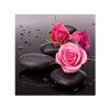 Naiyue 9590 Roses Imprimer Tirage Dessin au Diamant - NOIR/ROUGE 