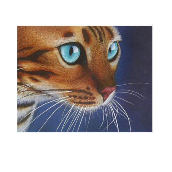 Naiyue 7077 chat rouge tirage tirage au dessin de diamant - multicolore 