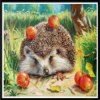 NAIYUE 9449 Hérisson Animal Imprimer Dessiner 5D Diamant Peinture Diamant Broderie - multicolore 