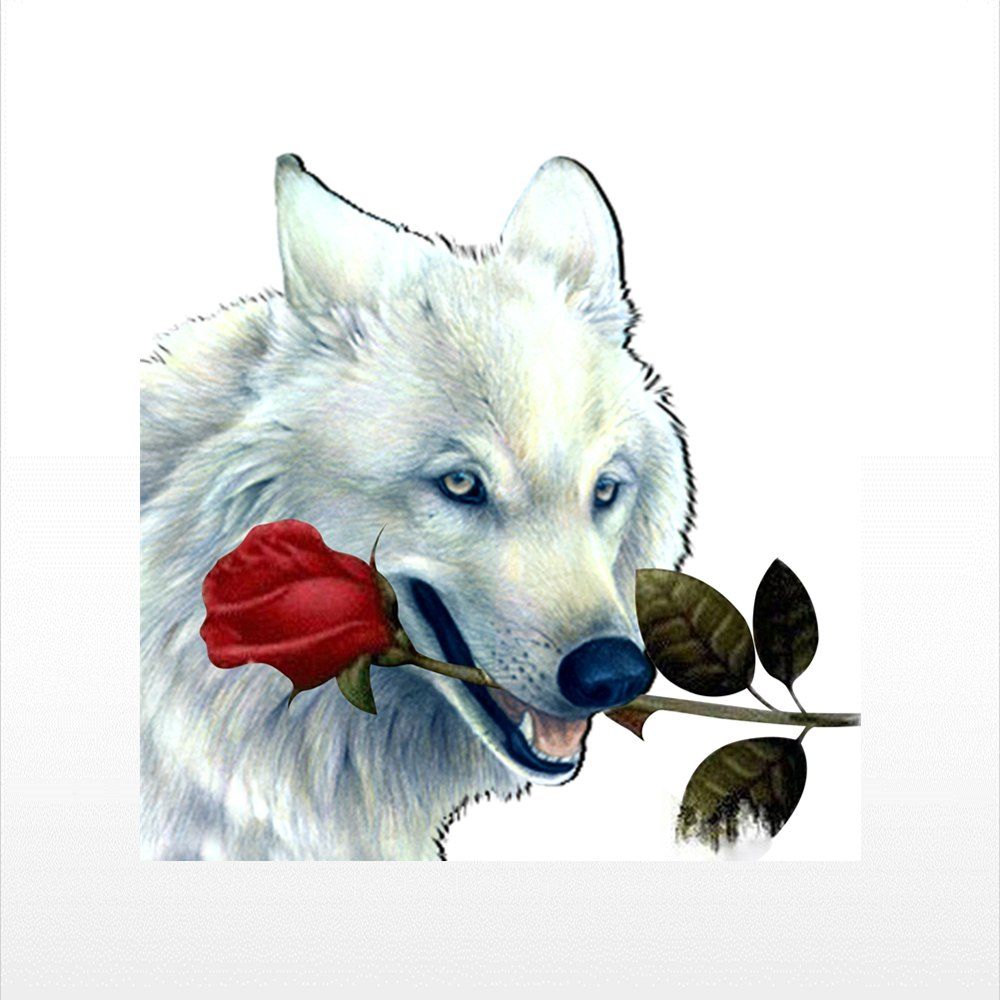 Волк с розой арт