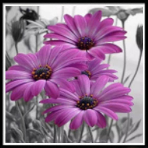 NAIYUE J861 Gerbera Daisy Imprimer Dessiner 5D Diamant Peinture Diamant Broderie - multicolore 