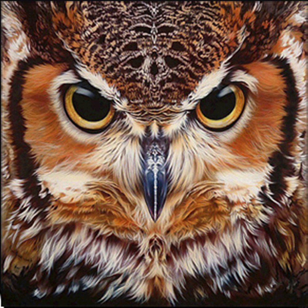 

Zglgbycg 6204 Diamond Drawing Room Full Drilled Owl Stick Drill Embroidery 30 x 30CM, Colormix