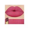 Beauté Maquillage Rouge à lèvres Couleurs populaires Meilleur vendeur Longue durée Lip Kit Matte cosmétiques - 19 