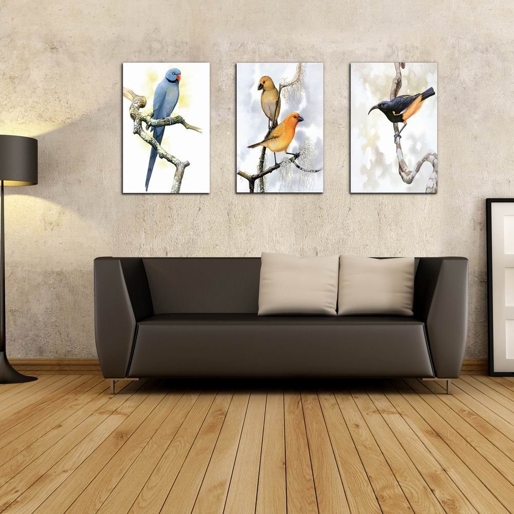 

W213 Birds Frameless Art Wall Canvas Prints for Home Decorations 3 PCS, Multi-a