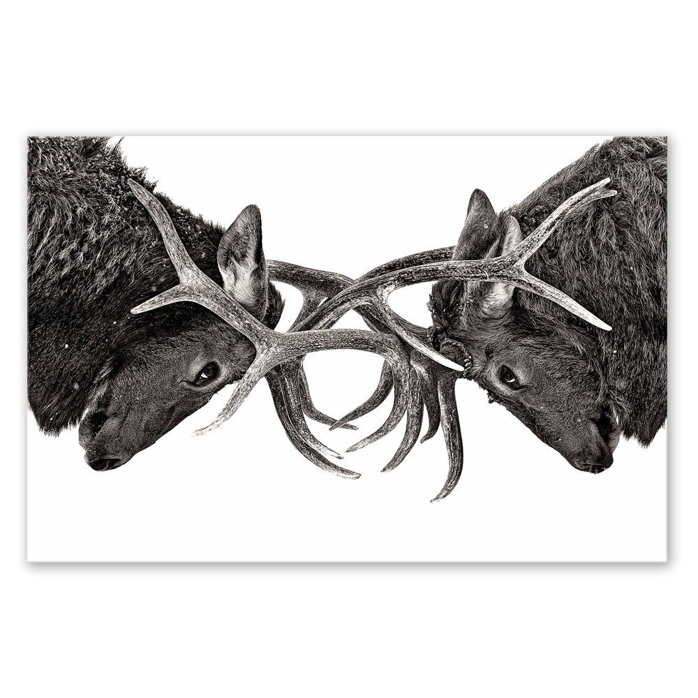 

W219 Deer Head Unframed Art Wall Canvas Prints for Home Decorations, Multi-a