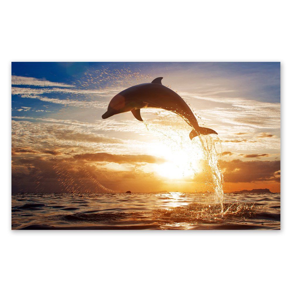 

W220 Sea and Dolphin Unframed Art Wall Canvas Prints for Home Decorations, Multi-a