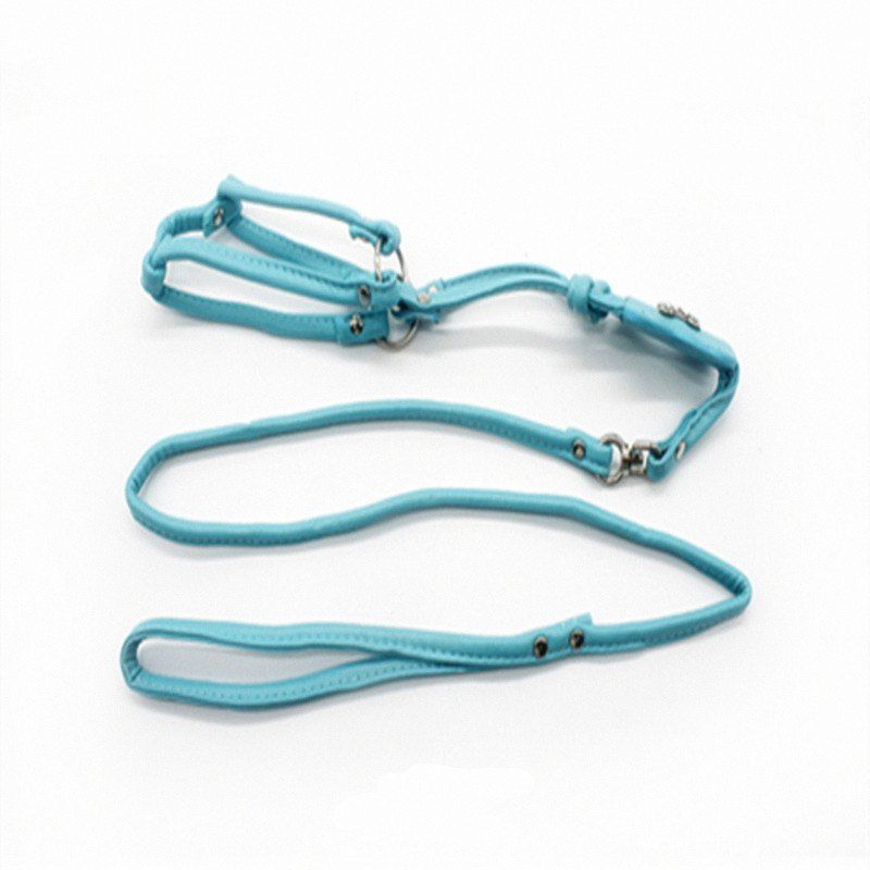 

Dog Puppy Pet Cat Rope for Small Pets Cute Leash, Tron blue
