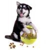Déversoir amovible Dog Dogs Dispenser Tumbler Bite Ball Bite Toy - Vert Fougère 