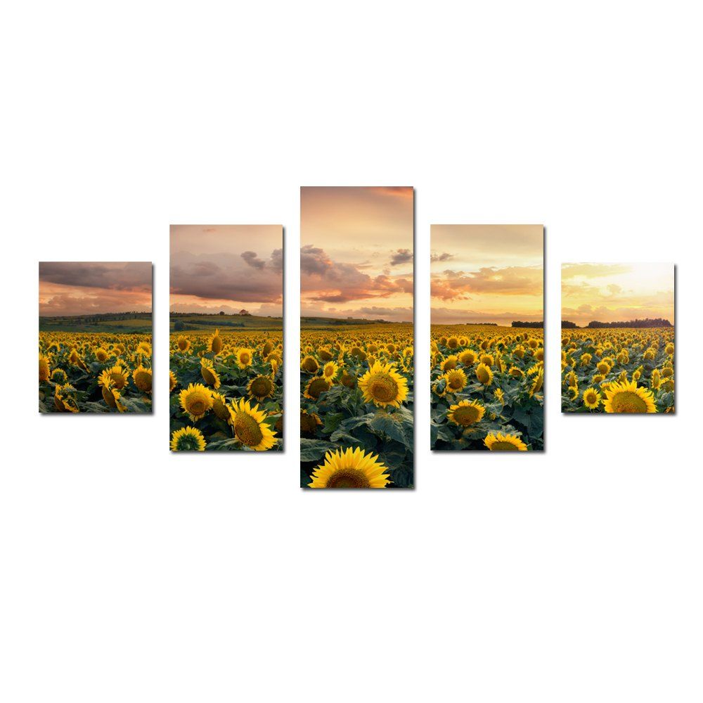 

W332 Sunflowers Unframed Wall Canvas Prints for Home Decorations 5PCS, Multi-a