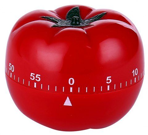 metal tomato timer
