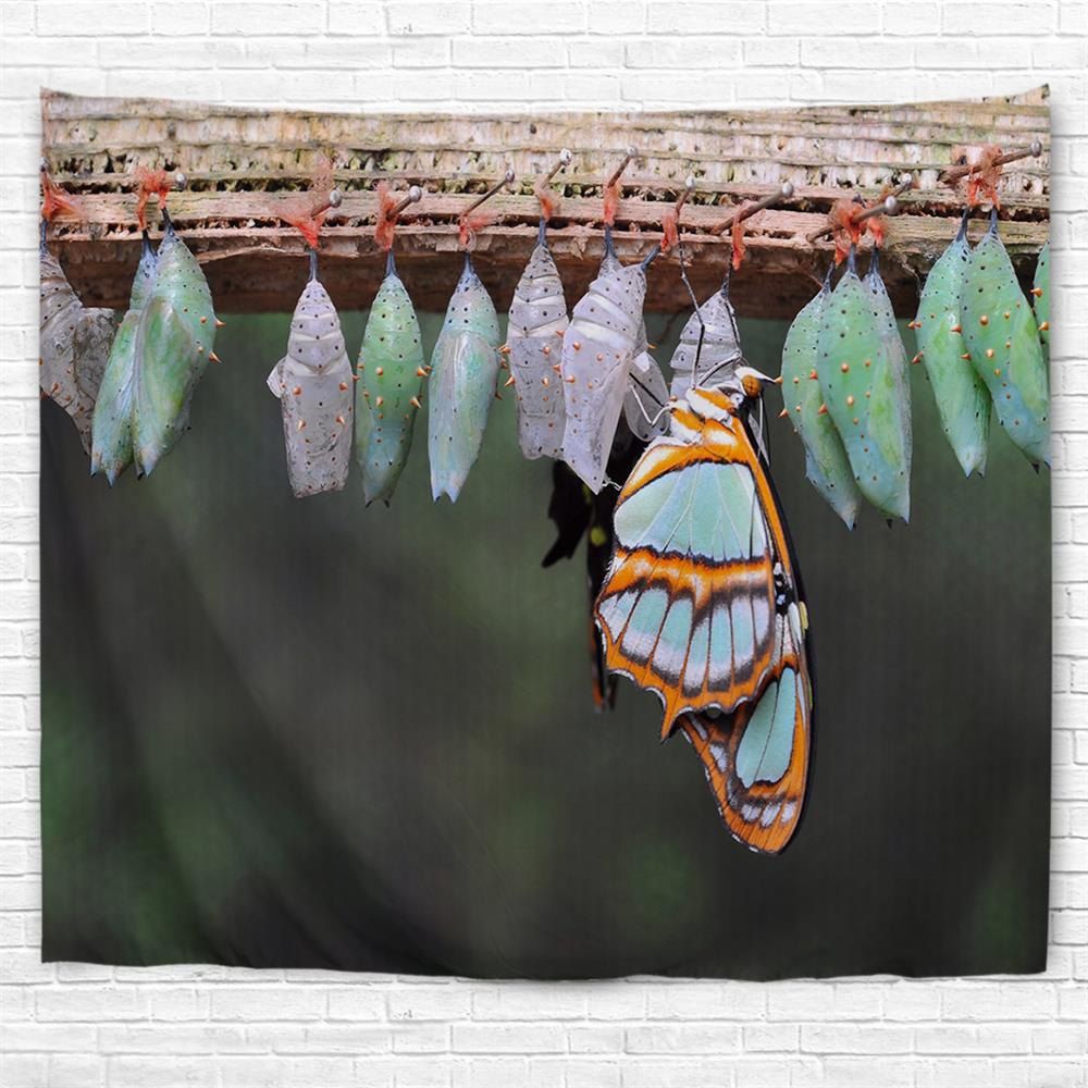 

Butterfly Eggs 3D Printing Home Wall Hanging Tapestry for Decoration, Multi-a