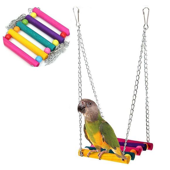 Perroquet Swing Suspension Pont Station Polonais pour les fournitures d'oiseaux - multicolor 