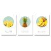 DYC11149 - bc-10-362-363-364 3PCS fruit ananas impression Art - multicolor 