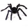 Décoration halloween virtuel réaliste araignée poilue - Noir 50CM