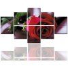 8 Pcs HD Inkjet Paints Peinture Saint Valentin Rose Fleur Peinture décorative - multicolor 40CM*40CM*4PCS+40CM*50CM*2PCS+40CM*60CM*2PCS